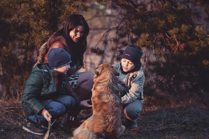 5 Mistakes People Make When Cooking For Their Dog At Home