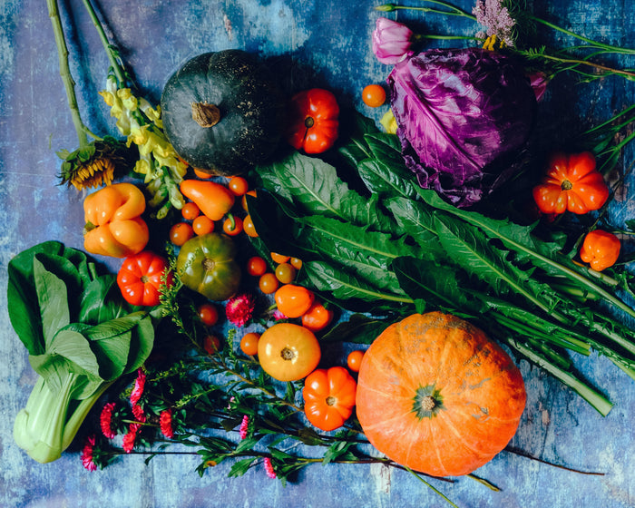 Vitamins: Natural versus Synthetic in Dog Food