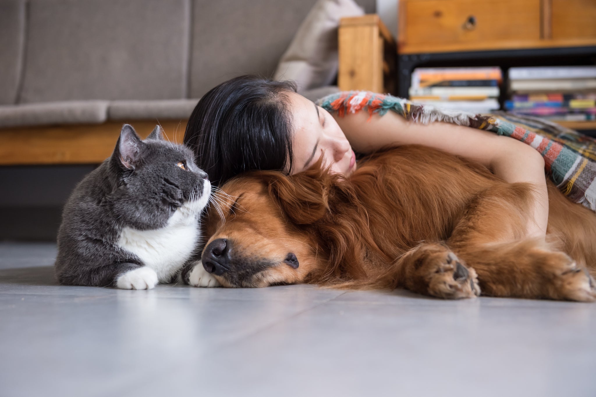 Why you need pet insurance