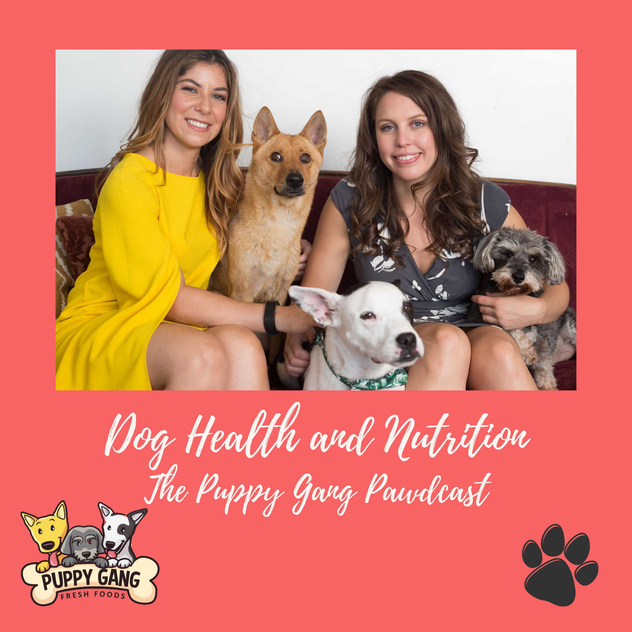Dog Health and Nutrition: The Puppy Gang Pawdcast-Episode 1: Meet the Puppy Gang!