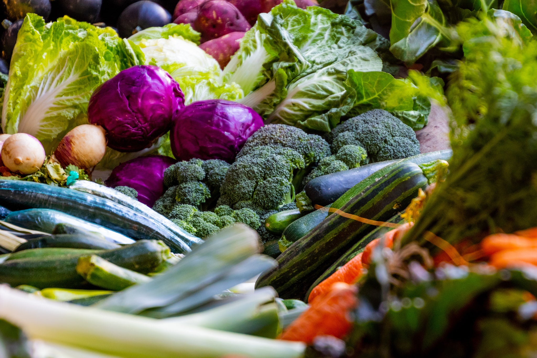Supplementing Your Dog's Kibble with Fresh Food has Numerous Health Benefits