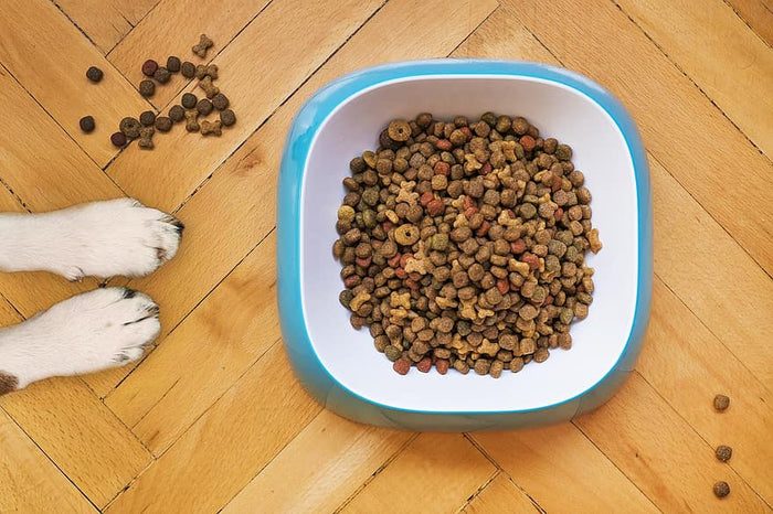 What Kibble Companies Won't Tell You...