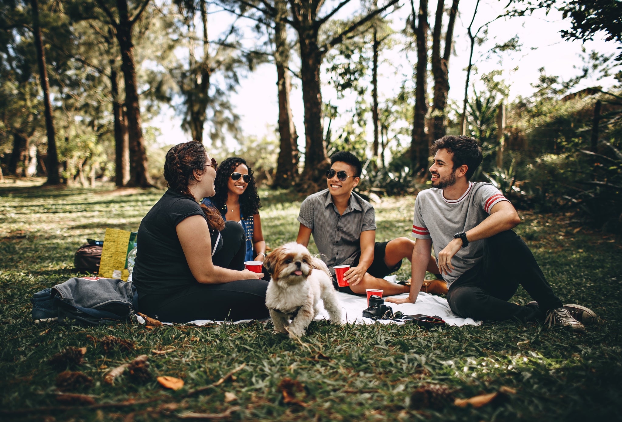 Understanding your dog's dietary needs