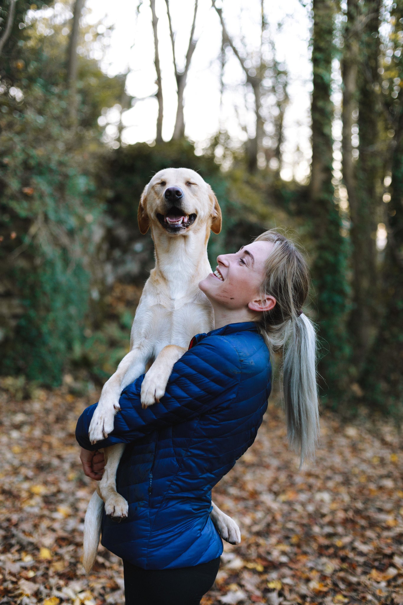 Learn From The Experts! Our Go To Sources of Information For Whole Foods Health For Dogs!
