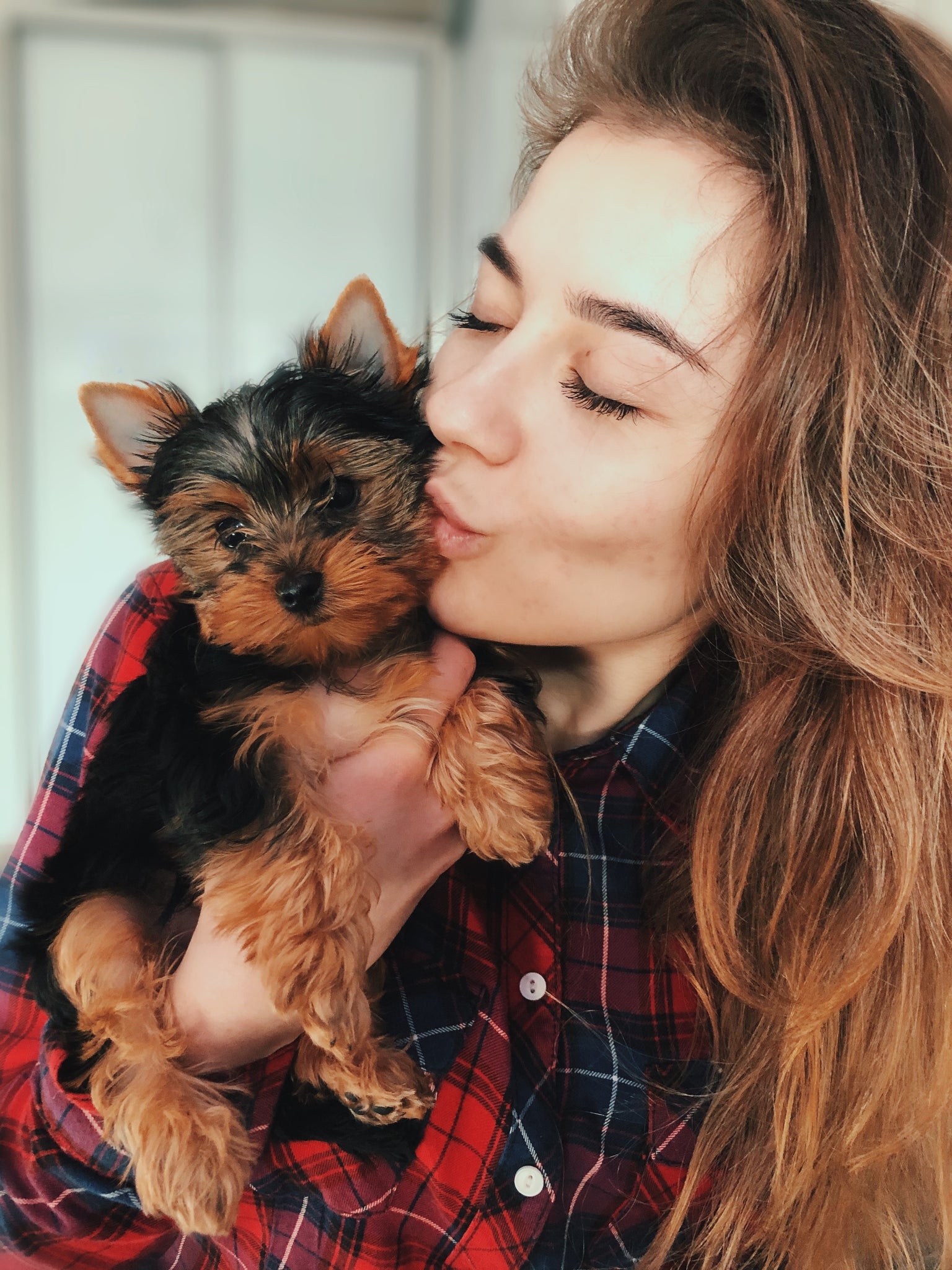 Ideas to Bond with Your Dog at Home!