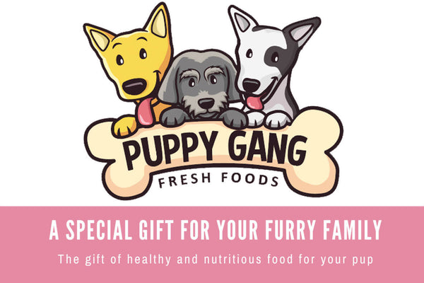 Puppy gift hot sale ideas